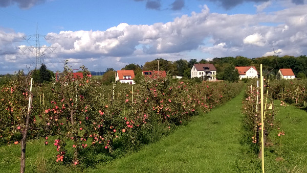 Ansicht des Hauses von der Plantage aus